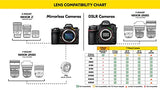 Nikon AF-P DX 10-20mm f/4.5-5.6G VR Lens (Retail Packing)