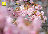 Nikon Z 50-250mm f/4.5-6.3 VR Lens (Retail Packing)