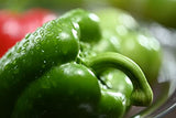 Nikon Z MC 105mm f/2.8 VR S Macro Lens