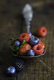 Nikon Z MC 105mm f/2.8 VR S Macro Lens