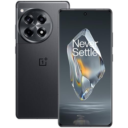 OnePlus 12R CPH2609 (Global Version, 256GB+16GB, Iron Gray)