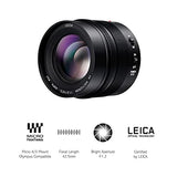 Panasonic 42.5mm F1.2 ASPH. POWER O.I.S. (HNS043E)