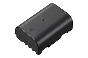 Panasonic DMW-BLF19 (Bulk Pack)