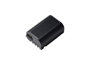 Panasonic DMW-BLK22 Lithium-Ion Battery (7.2V, 2200mAh) For DC-S5
