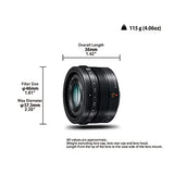 Panasonic LEICA DG SUMMILUX 15mm F1.7 ASPH Black (HX015 )