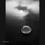 Panasonic Leica DG Summilux 9mm F/1.7 ASPH. Lens (H-X09)
