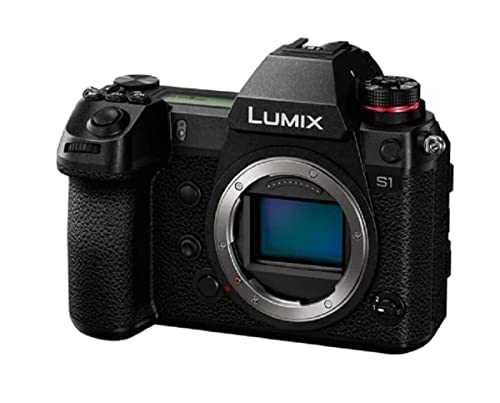 Panasonic Lumix DC-S1 (Black)