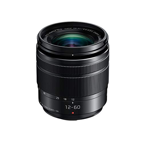 Panasonic Lumix G Vario 12-60mm f/3.5-5.6 ASPH. POWER O.I.S. Lens (H-FS12060)