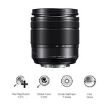 Panasonic Lumix G Vario 12-60mm f/3.5-5.6 ASPH. POWER O.I.S. Lens (H-FS12060)
