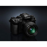 Panasonic Lumix G Vario 12-60mm f/3.5-5.6 ASPH. POWER O.I.S. Lens (H-FS12060)