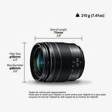 Panasonic Lumix G Vario 12-60mm f/3.5-5.6 ASPH. POWER O.I.S. Lens (H-FS12060)
