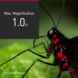 Panasonic Lumix S 100mm F/2.8 Macro Lens (Leica L) (S-E100)
