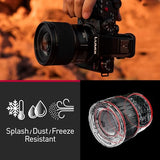 Panasonic Lumix S 100mm F/2.8 Macro Lens (Leica L) (S-E100)