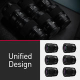 Panasonic Lumix S 100mm F/2.8 Macro Lens (Leica L) (S-E100)
