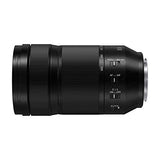 Panasonic Lumix S 70-300mm f/4.5-5.6 Macro OIS (S-R70300)
