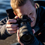Panasonic Lumix S 70-300mm f/4.5-5.6 Macro OIS (S-R70300)