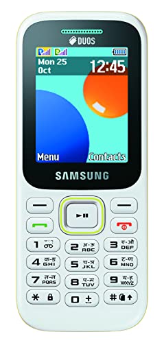 Samsung Guru Music 2 (SM-B315E, White)