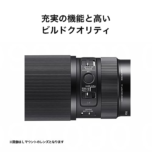 Sigma 105mm f/2.8 DG DN Macro Art Lens (Sony E)