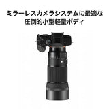 Sigma 105mm f/2.8 DG DN Macro Art Lens (Sony E)