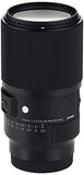 Sigma 105mm f/2.8 DG DN Macro Art Lens (Sony E)