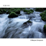 Sigma 24-70mm F2.8 DG DN Art (Sony E) TBC