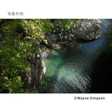 Sigma 24-70mm F2.8 DG DN Art (Sony E) TBC