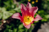 Tamron 20-40mm F/2.8 Di III VXD Lens (A062) (Sony E)