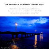 Tokina ATX-M 11-18mm F/2.8 Lens (Sony E, Black)