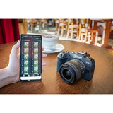 Canon EOS R8 Body - Norwich Cameras