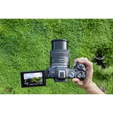 Canon EOS R8 Body - Norwich Cameras