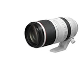 Canon RF 100-500mm f/4.5-7.1L IS USM Lens Canon