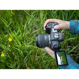 Canon RF 24mm F/1.8 Macro IS STM Lens - Norwich Cameras
