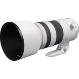Canon RF lens for sports and portrait photography