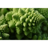 Canon RF-S 18-150mm F/3.5-6.3 IS STM Lens - Norwich Cameras