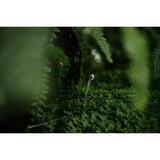 Nikon Z MC 105mm f/2.8 VR S Macro Lens Nikon