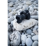 Nikon Z8 Body - Norwich Cameras