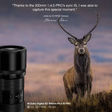 Olympus M.Zuiko ED 300mm f4 IS Pro TBC