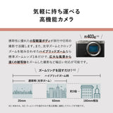 Panasonic Lumix DC-S9 Kit with S 20-60mm f/3.5-5.6 Lens (Silver) (DC-S9KS) - Brand New / Sealed Box / Full Warranty