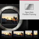 Panasonic Lumix DC-S9N (18-40mm F/4.5-6.3) (Olive Green DC-S9NG) - Brand New / Sealed Box / Full Warranty