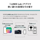 Panasonic Lumix DC-S9N (18-40mm F4.5-6.3) (Silver DC-S9N-S) - Brand New / Sealed Box / Full Warranty / 4549980809518