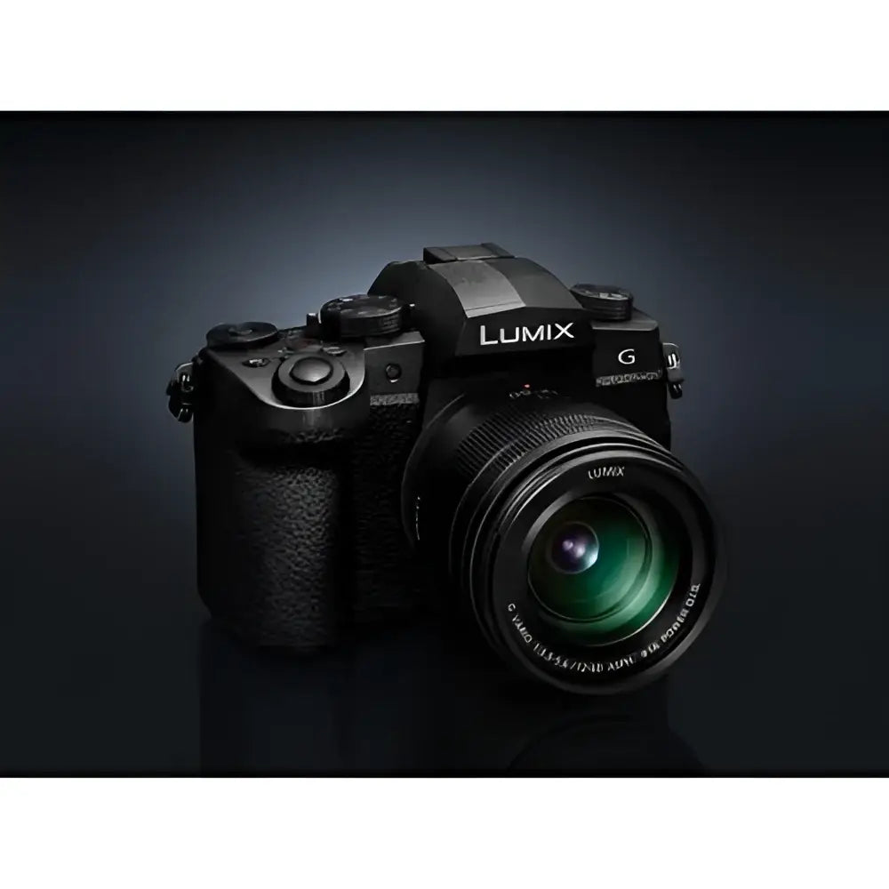 Panasonic Lumix G Vario 12-60mm f/3.5-5.6 ASPH. POWER O.I.S. Lens