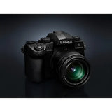 Panasonic Lumix G Vario 12-60mm f/3.5-5.6 ASPH. POWER O.I.S. Lens H-FS12060 (Bulk) - Norwich Cameras