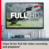 Sandisk microSDXC Ultra A1 (No Adapter) (256GB SDSQUAC-256G-GN6MN) - Brand New / Sealed Box / Full Warranty
