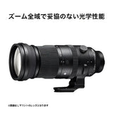Sigma 150-600mm f/5-6.3 DG DN OS Sports Lens (Sony E) - Norwich Cameras