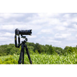 Tamron 50-400mm F/4.5-6.3 Di III VC VXD Lens (A067) (Nikon Z) - Brand New / Sealed Box / Full Warranty / 4960371006956
