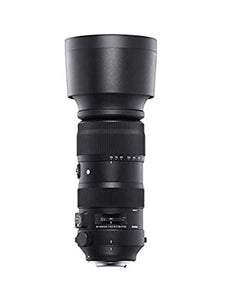 Sigma 60-600mm F/4.5-6.3 DG DN OS Sports Lens (Sony E)