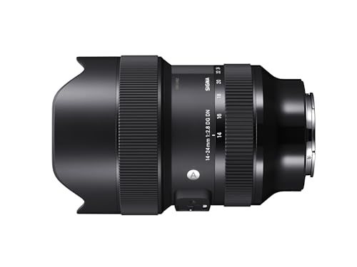 Sigma 14-24mm F2.8 DG DN Art (Sony E)