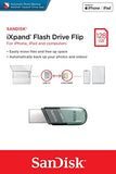 Sandisk iXpand Flash Drive Flip (128GB, SDIX90N-128G-GN6NE, Black)