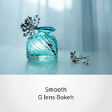 Sony E 15mm F/1.4 G Lens (SEL15F14G)