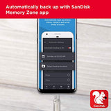 Sandisk -Ultra Dual Drive Luxe USB Type C (64GB, SDDDC4-64G-G46) Sandisk